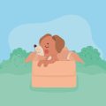 Baby Sleep Needs & Common Sleep Problems in India