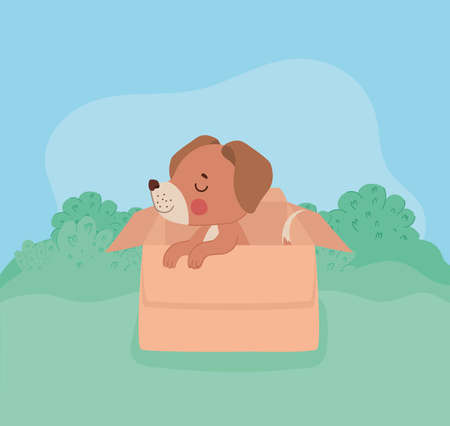 Baby Sleep Needs & Common Sleep Problems in India