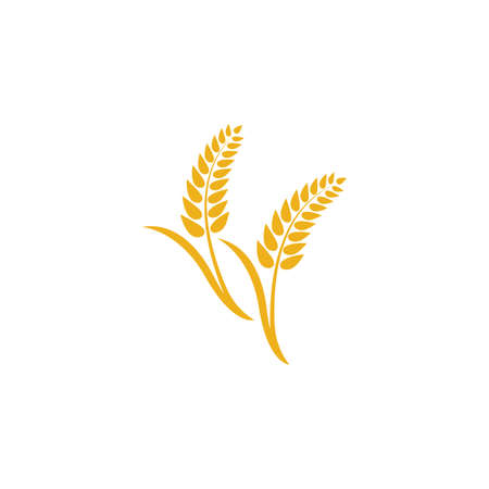 Why Wheat & Cereal Allergy Happens